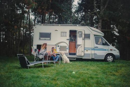 Camping Garden Park PITCHES