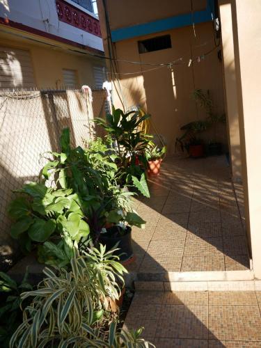 Brisas de Borinquen in Aguadilla