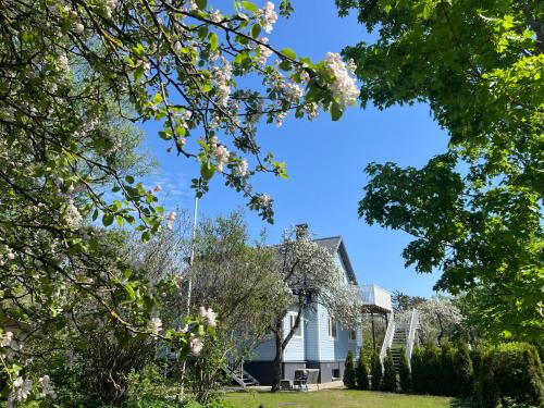 Brand new 3BR family friendly house with huge garden Brand new 3BR family friendly house with huge garden