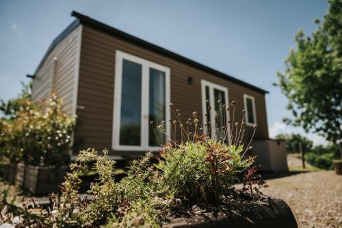 Agricampeggio Ca di Mazza - Monzuno