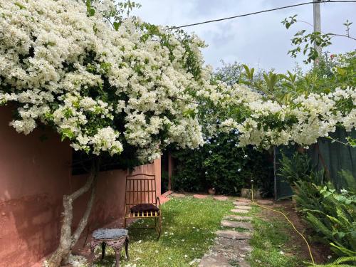Lovely flat in nice garden, Rabat (fotografie 9)