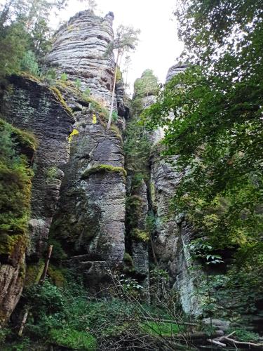 Omgeving, Apartmány Waldex (Apartmany Waldex) in Jetrichovice U Decina