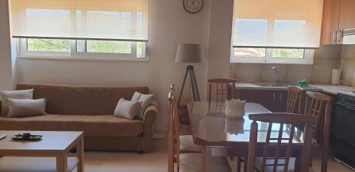 Vaso Studios - image 9