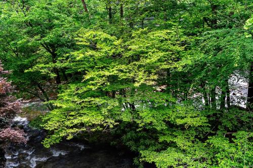 Beautiful natural surroundings