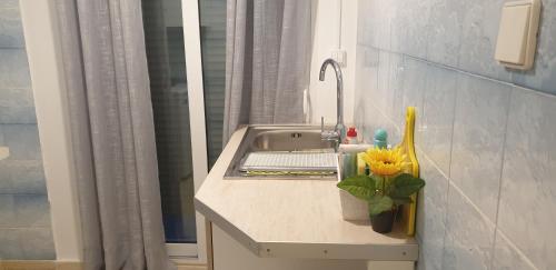 Vaso Studios - image 13