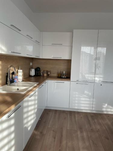 Klimatizovaný Apartmánový dom, s vírivkou, 1B