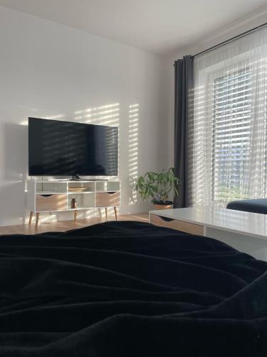 Klimatizovaný Apartmánový dom, s vírivkou, 1B