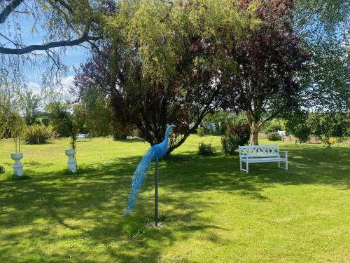 Garden, Nolans organic farm in Ballyvolane