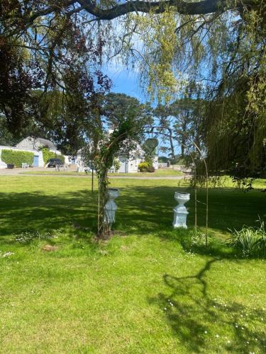 Garden, Nolans organic farm in Ballyvolane
