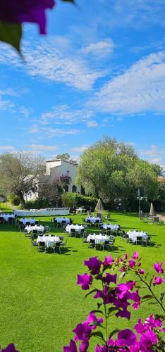 564917965 Hotel Hacienda Taboada (Aguas Termales)
