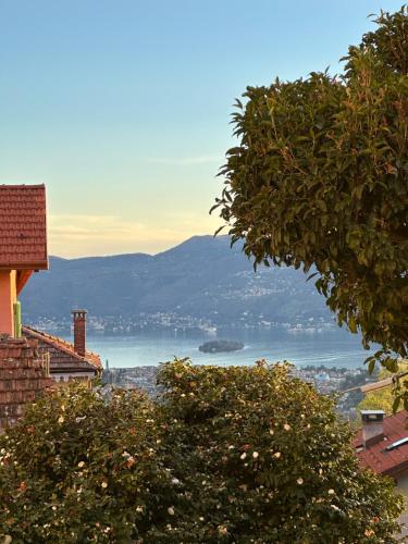 Tuvākā izklaides vieta, Villa Simonetta in Bee