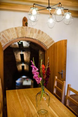 APARTMÁN PŘÍTLUKY - Zdeněk Bukovský (APARTMAN PRITLUKY - Zdenek Bukovsky) in Pritluki