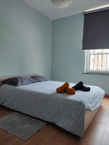 Chambre confortable avec un lit double à schaerbeek cle bleu, Bruselas (foto 6)