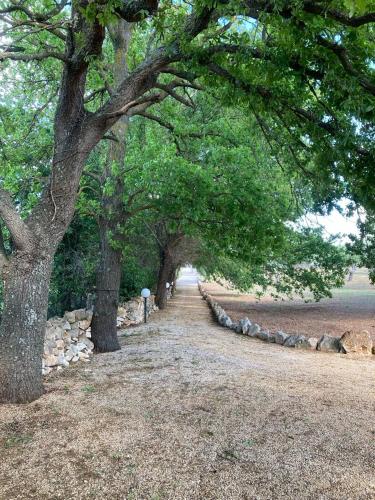 Antica Tenuta Dei Trulli – Alberobello, OK
