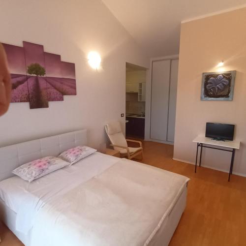 House Dolly [VR] – Porec, IA