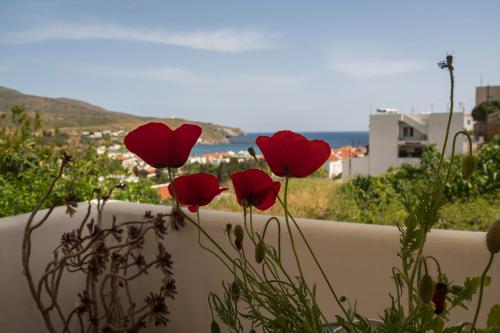 Maltabe Studios, Ándros (fotografie 7)