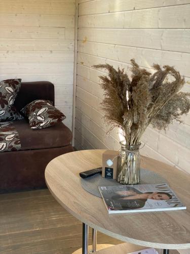 2 sofa beds