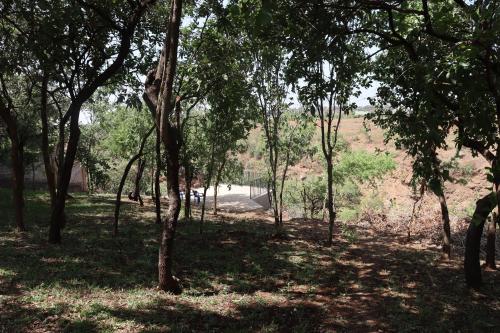 Themi View, Arusha (foto 5)