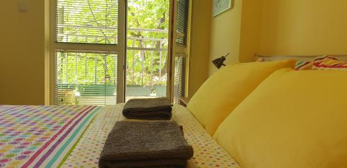 Address of Private studio in the city center, close to subway, Medical University