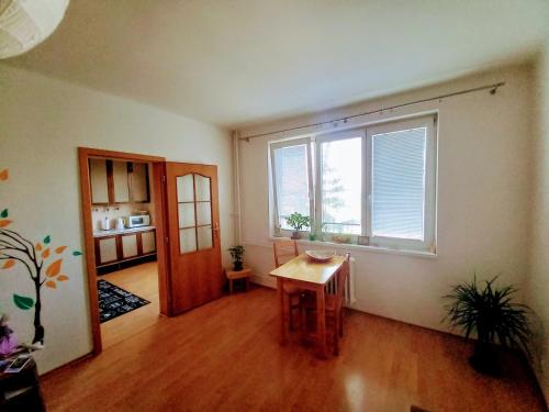 Apartman Lienka FREE PARKING CITY CENTRE in Trencin