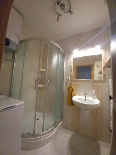 Badkamer, Apartman Lienka FREE PARKING CITY CENTRE in Trencin