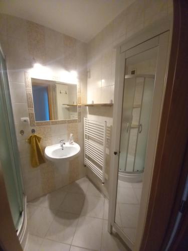 Badkamer, Apartman Lienka FREE PARKING CITY CENTRE in Trencin