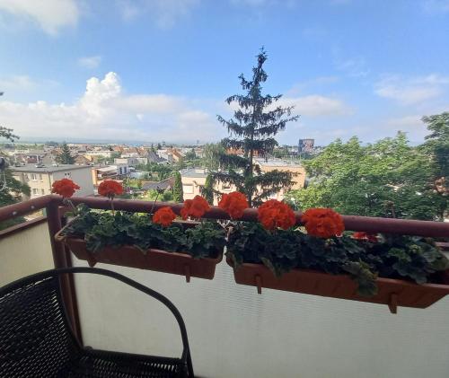 Uitzicht, Apartman Lienka FREE PARKING CITY CENTRE in Trencin