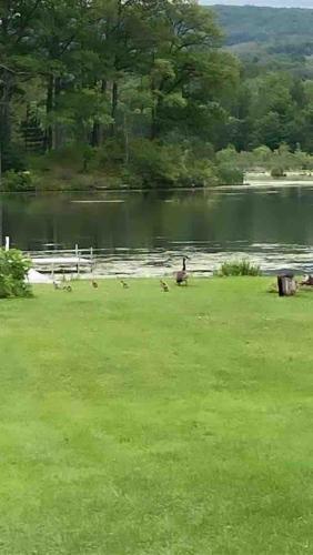 Serenity on Lamoka, Hammondsport (fotografie 10)