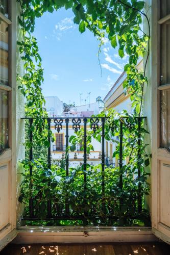 Novalia Home Suite 14, Sevilla (Foto 9)