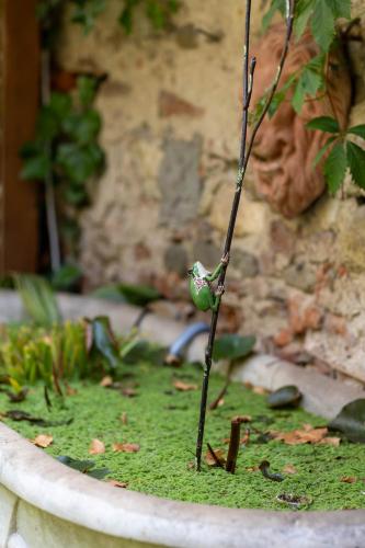 Secret Garden Firenze B&B – Florence, IA