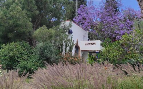  Casita 2 in Benajarafe