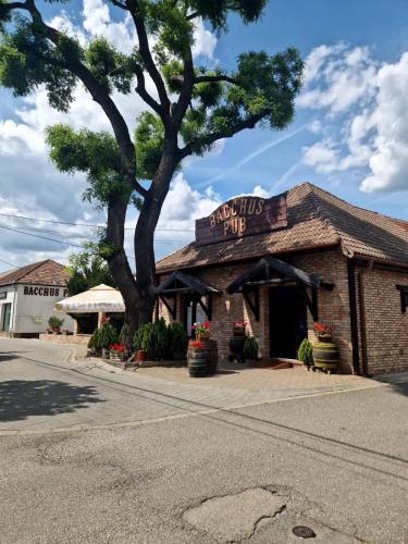 Restaurant, Bacchus Pub es Panzio in Dunaharaszti