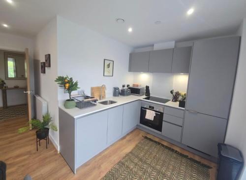 Snuggle Inn - Riverside Apartments - Views Over looking London River Thames, Close to O2 Arena, London Excel, London City Airport, Thames Clipper- River Boat Service, Woolwich Ferry, Onsite parking, TWIN ROOM OPTION available, London (Foto 8)