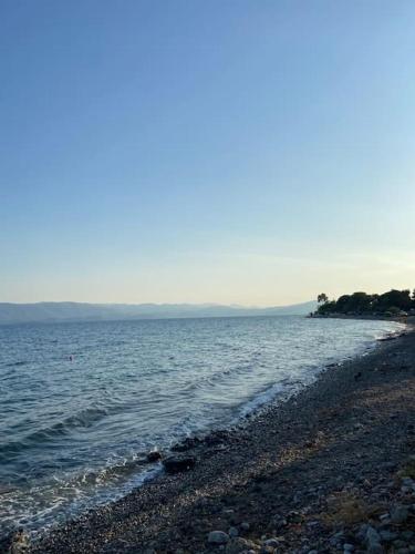 Coralia's beachfront sea view studio