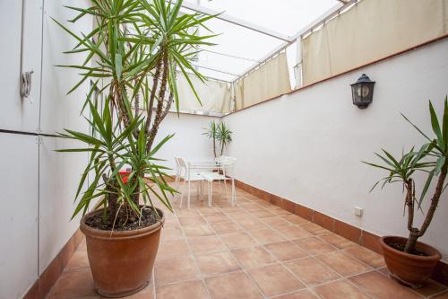 MIT House Principe Terrace en Madrid - image 3