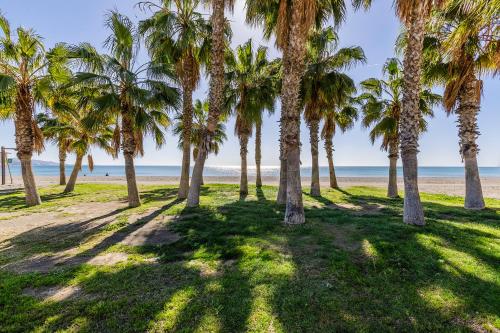 Hotel Torremar - image 13