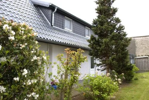 Muschel in Zingst, Deutschland