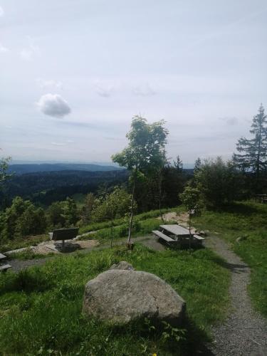 Hotel am Kurpark - image 13