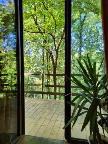 Belgrade Sumski raj Lipovica 3-Star Single Room room