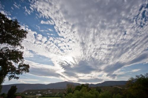 The Queen Of Calitzdorp