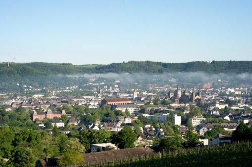 Waldhaus 'Photographie' im Ruwertal, Trier