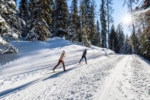 AMERON Davos Swiss Mountain Resort - image 6
