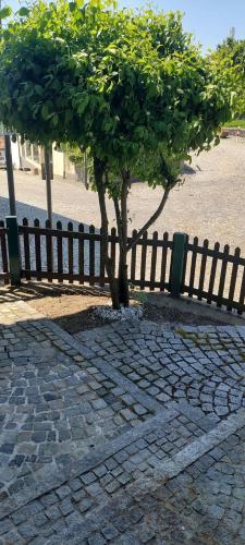 Aed, Dreiburgen Ferienwohnung Schlossblick in Furstenstein