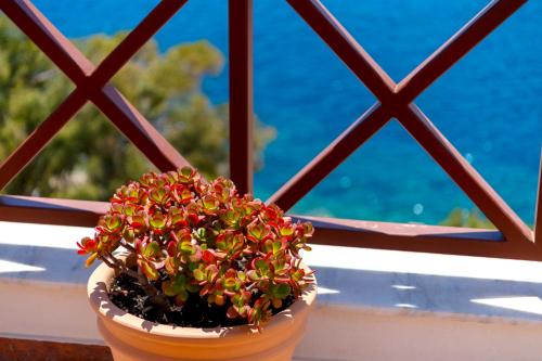 Electra Syros Boutique Hotel - image 11