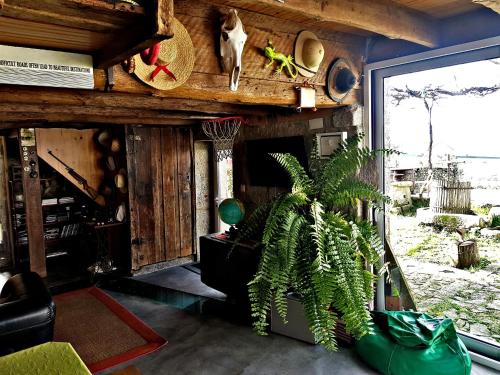 Albergue Casa do Sardão (Albergue Casa do Sardao) in เวียนา โด คาสเตโล