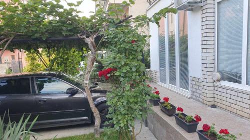 M&S Appartments in Városközpont