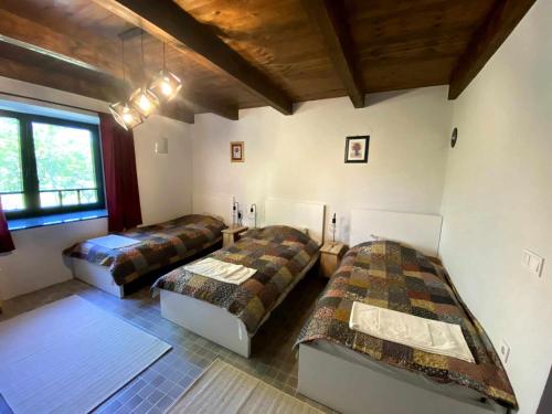 Guest House SANIV in Batina
