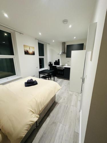 Studio Near Buckingham Palace in 卡素特斯