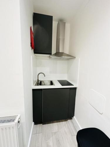 Studio Near London Big Ben in كاسلدوسن