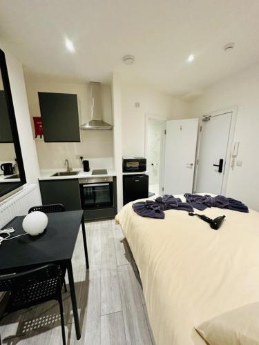 Studio near Piccadilly Circus in كاسلدوسن